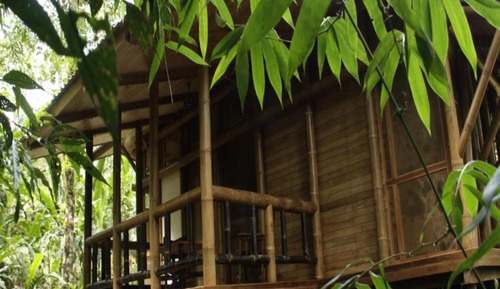 Bungalow (Natural)