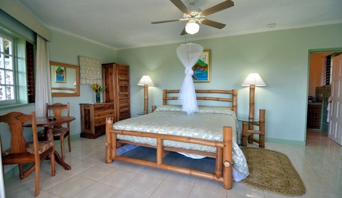 Deluxe Room, 1 King Bed, Terrace, Garden View