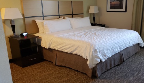 Suite, 1 Bedroom, Transfer Shower (Communications)