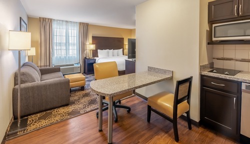 Standard Studio, 1 King Bed with Sofa bed
