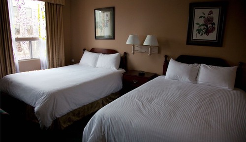 Standard Double Room