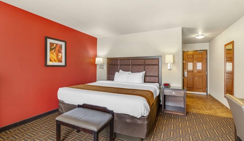 Basic Suite, 1 King Bed