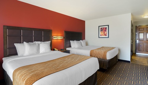 Basic Room, 2 Queen Beds