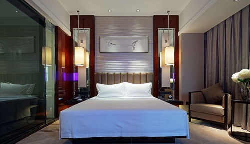 Room, 1 King Bed