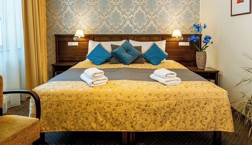 Standard Double Room, 1 King Bed