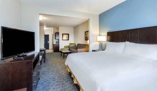 Suite, 1 King Bed with Sofa bed
