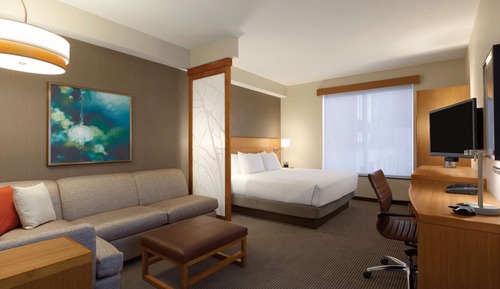 Accessible Room, 1 King Bed with Sofa bed, (Bathtub)