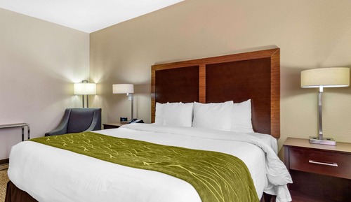 Standard Room, 1 King Bed, Non Smoking