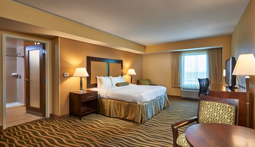 Executive Suite, 1 King Bed, Non Smoking