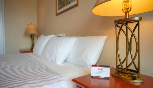 Room, 1 King Bed
