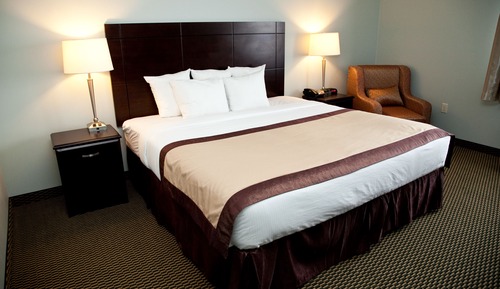 Room, 1 King Bed, Mobility Accessible, Non Smoking (Roll-in Shower)