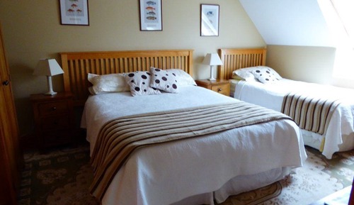 Double Single Room