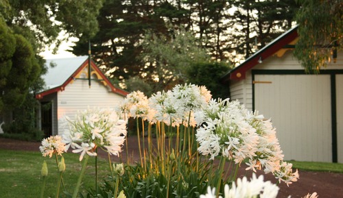 House (Carriage)