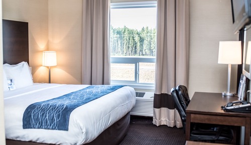 Suite, 1 King Bed with Sofa bed, Non Smoking