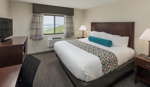 Standard Room, 1 King Bed