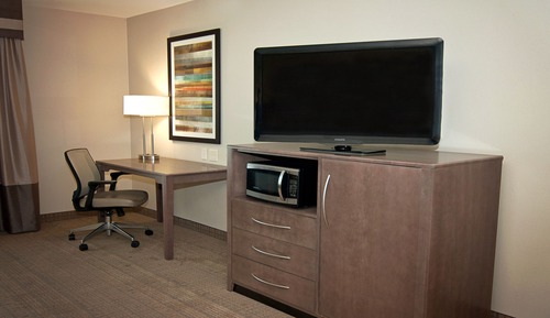 Standard Room, 1 King Bed, Mobility Accessible (Roll-In Shower)