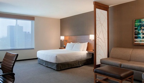 Room, 1 King Bed, Accessible (Shower)