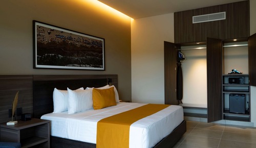 Standard Room, 1 King Bed, Non Smoking, Mountain View