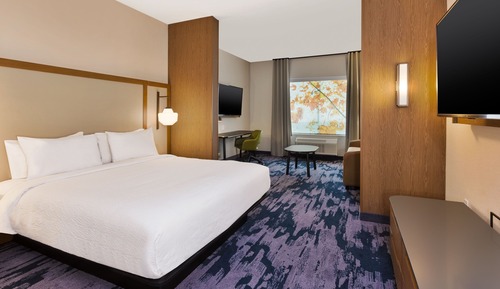 Suite, 1 King Bed with Sofa bed