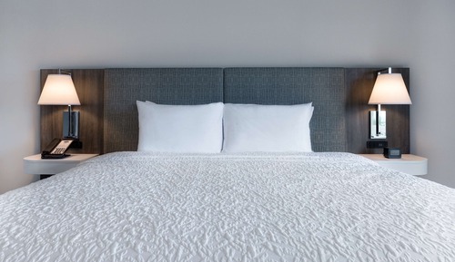 Room, 1 King Bed, Refrigerator