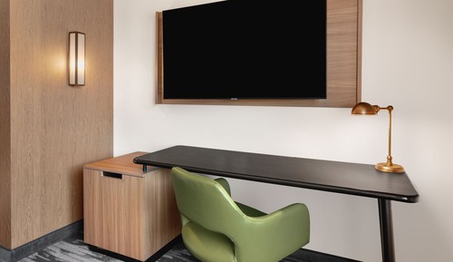 Room, 1 King Bed, Non Smoking (Mobility Accessible, Roll-in Shower)