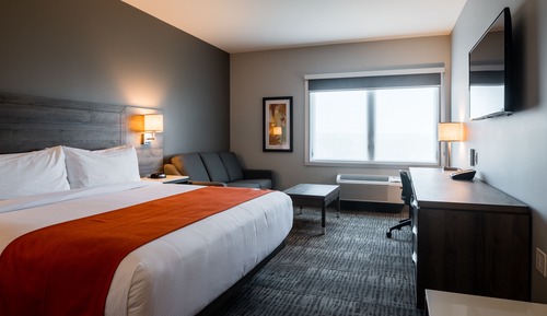 Standard Room, 1 King Bed with Sofa bed, Non Smoking