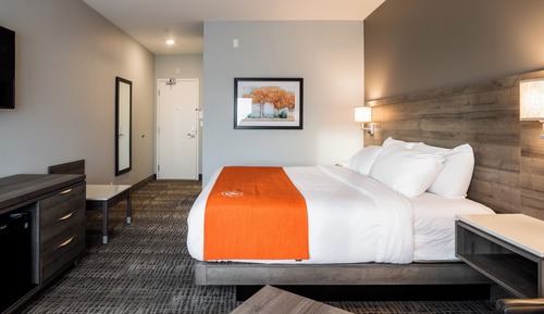 Standard Room, 1 King Bed, Non Smoking