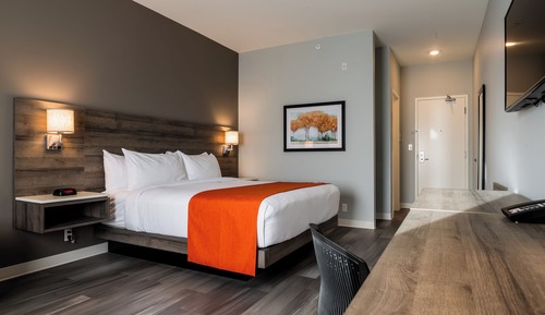 Standard Room, 1 King Bed, Non Smoking (Pet-Friendly)