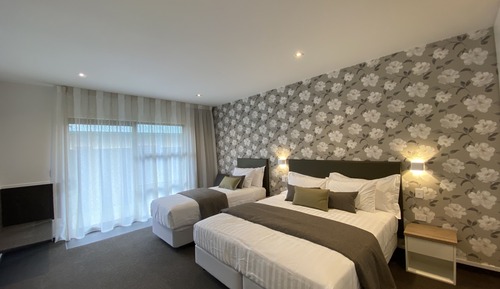 Studio Suite, Multiple Beds