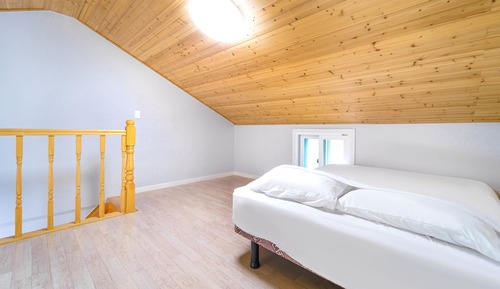 Basic Room, 1 Bedroom (101)