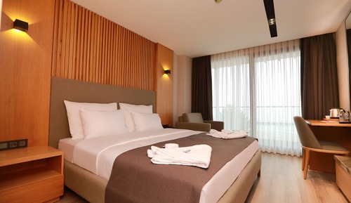 Standard Double Room, Mountain View