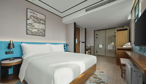 Basic Room, 1 King Bed