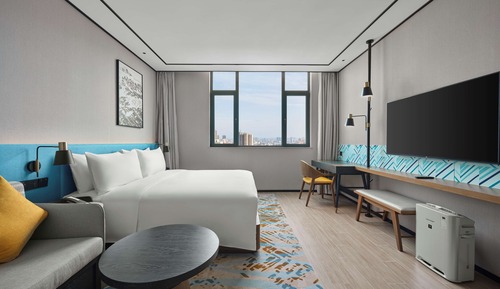 Basic Room, 1 King Bed, Accessible