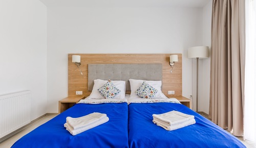 Deluxe Double or Twin Room