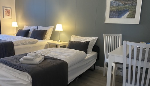 Double/Triple Room, 1 King Bed with Sofa bed, Shared Bathroom, Kitchenette, Garden View
