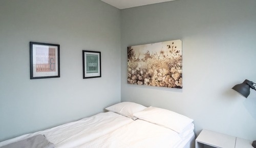 Comfort Cabin, 1 Double Bed with Sofa bed, Hot Tub (7B)