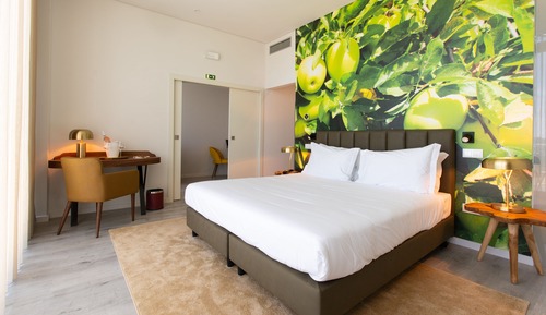 Premium Double Room