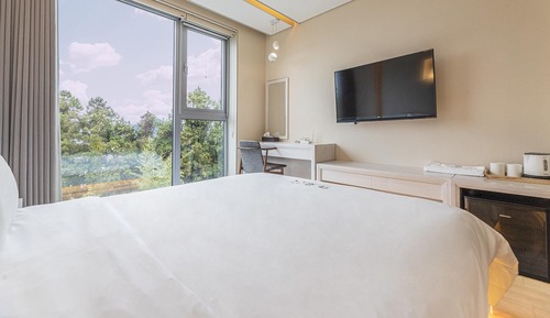 Basic Room, 1 Bedroom (205(withpet))