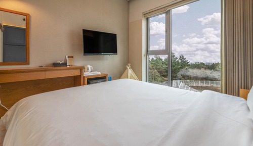 Basic Room, 1 Bedroom (309(Can't bring a dog))