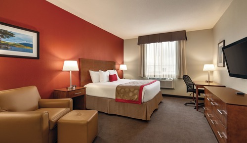 Superior Single Room, 1 king bed, ground floor