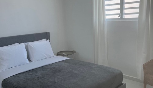 Basic Apartment
