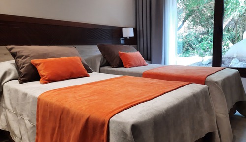 Basic Double or Twin Room