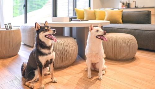 Rakuten STAY VILLA FujiKawaguchiko Forest/ Up to 8 people, Pets Allowed, Non Smoking