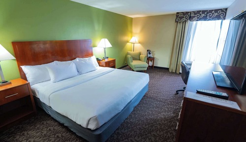Room, 1 King Bed, Accessible, Non Smoking