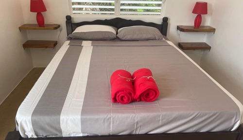 Basic Double Room