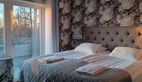 Standard Studio Suite, 1 King Bed with Sofa bed