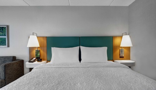 Room, 1 King Bed with Sofa bed, Non Smoking, Refrigerator & Microwave