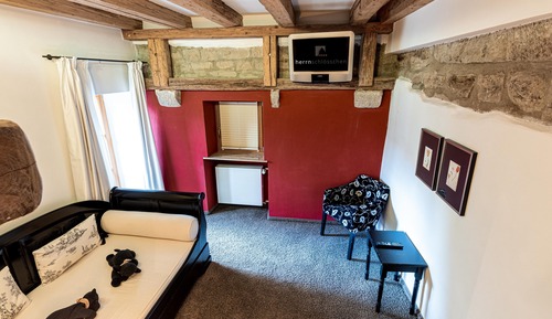 Senior Suite