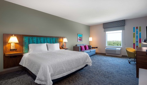 Room, 1 King Bed with Sofa bed, Bathtub (Soaker Tub)