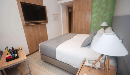 Room, 1 King Bed, Accessible, Non Smoking